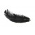 plume-noire