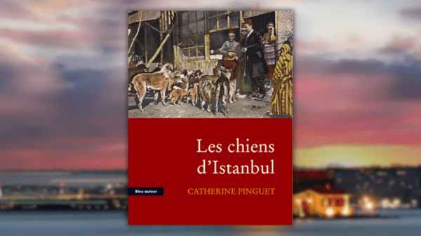 Les chiens d&rsquo;Istanbul – Catherine&nbsp;Pinguet